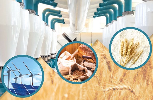flour-milling
