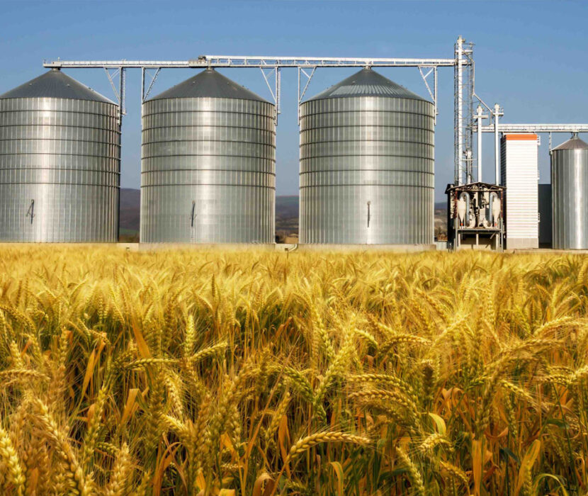 grain-storage